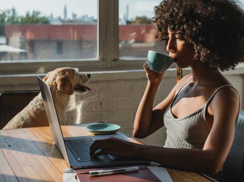 La magie de la collaboration